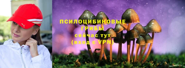 ПСИЛОЦИБИНОВЫЕ ГРИБЫ Богданович