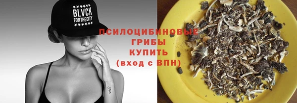 ПСИЛОЦИБИНОВЫЕ ГРИБЫ Богданович