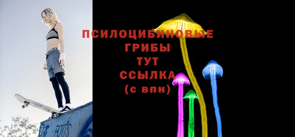 амфетамин Белокуриха