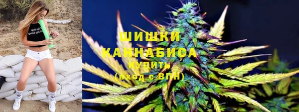 ПСИЛОЦИБИНОВЫЕ ГРИБЫ Богданович