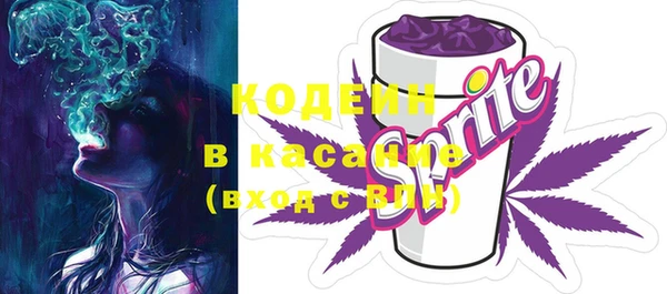 индика Сосновый Бор