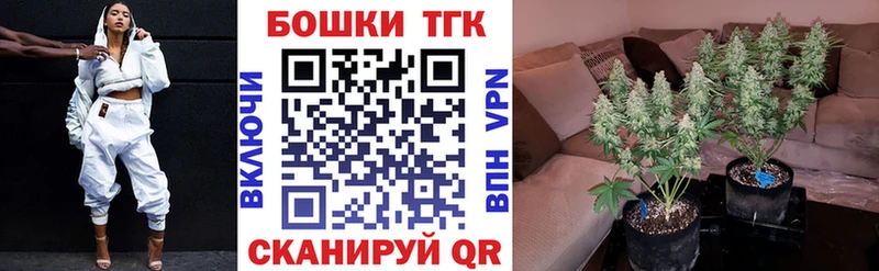 МАРИХУАНА SATIVA & INDICA  Онега 